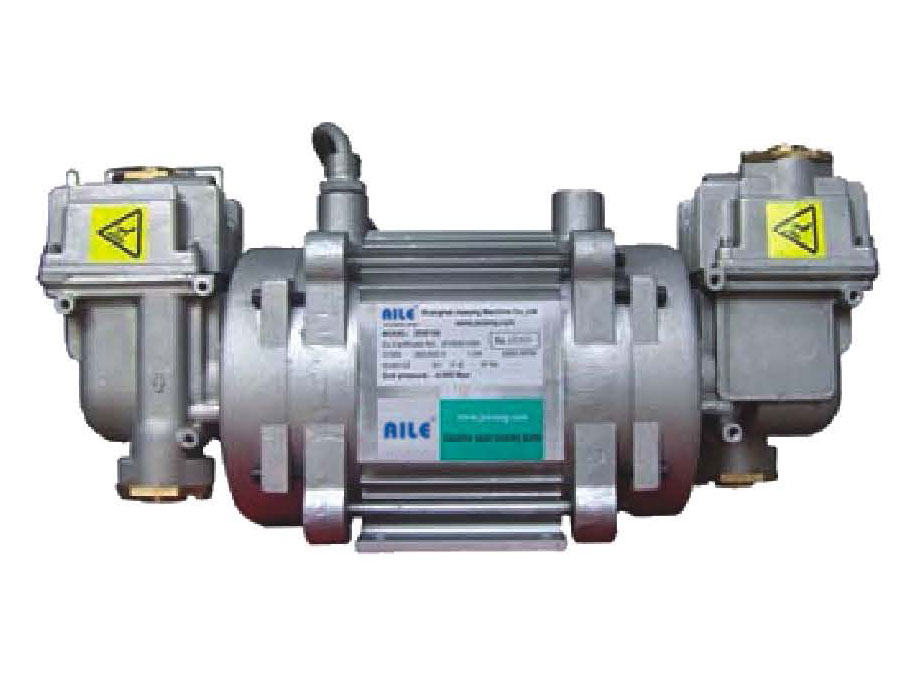 VRVP Vapor Recovery Vacuum Pump